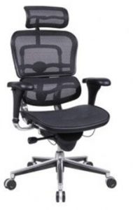 ergonomic office chair great value rating ergohuman high back swivel chair with headrest VAXEJTO