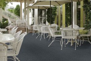 indoor/outdoor carpet ASIICMN