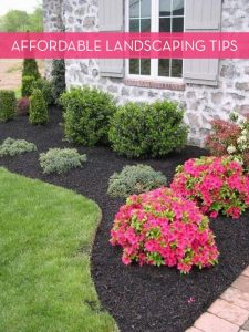 landscaping ideas 13 tips for landscaping on a budget VPMDOAP