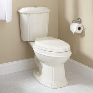 regent dual-flush water closet - biscuit elongated bowl FEMFZVO