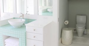 water closet there is an ongoing debate surrounding the pros and cons of a water VHWYOXS