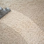 carpet floor carpet DENFSFU