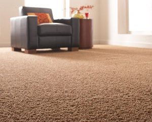 carpet for home cut and loop carpet UJWYLUU