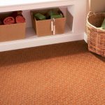 carpet for house carpet basics: durability and judging quality LPYLRKG