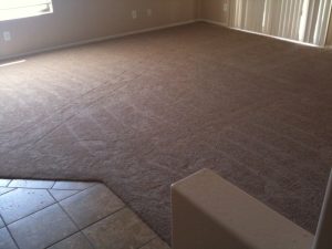 carpet for house new carpet for our entire house - home makeover diva | the home YVMFPLO