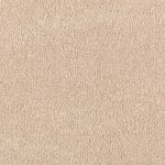 carpet texture rapid install velocity ii - color sandcastle texture 12 ft. carpet YIRMXAH