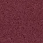carpet texture redcarpet_s.jpg ... SETWOQP