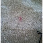cheapest carpet cleaning fargo nd review co VYJLFEX