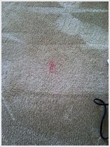 cheapest carpet cleaning fargo nd review co VYJLFEX