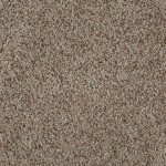 cloud nine plush carpet balanced color HLSSAID