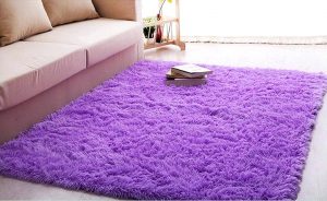 Cute rugs cute area rugs cute area rugs for living room OAQFDJR