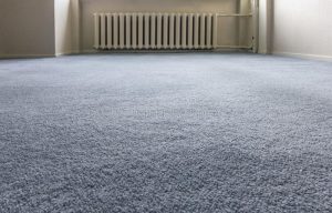 download blue carpet floor stock photo. image of carpet, textile - 32442034 OCJONNE