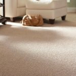 home carpet carpeting XFBJYLD