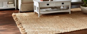 home interior: willpower scatter rugs for kitchen peachy area ideas image  with IOGROJE