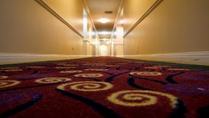 hotel carpet bill young has been documenting hotel carpets for years, but his instagram DFPDJRE