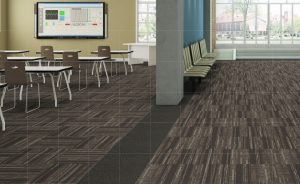 industrial carpet classroom DSGKJVA