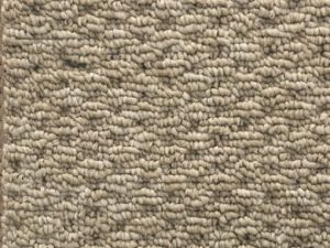 mohawk 27339 homeland color 868sl nylon carpet ZNMVGDR