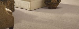 mohawk carpet majestic bounty, porpoise carpeting | mohawk flooring UINKPUO