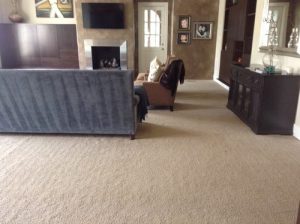 need help selecting wall to wall carpet for my living room! BRPKTVD