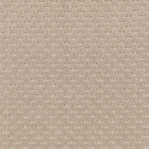 pattern carpet trafficmaster quiet reflection - color desert villa pattern 12 ft. carpet TCRSISQ