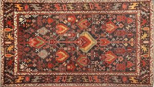 tribal rug sauj bulagh HPQWNRN