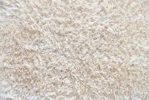 white carpet. fluffy textile texture. clean background. high resolution  color image. - SWSHLLY