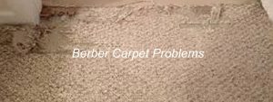 wool berber carpet berber carpet problems u0026 complaints - avoid issues with berber MLKDPKX