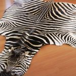 zebra rugs zebra hides and rugs VURNNBT
