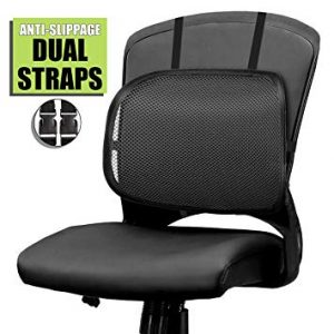 Amazon.com: Easy Posture Lumbar Back Support Mesh (Black Mesh, 1PC