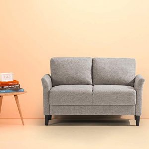 Loveseat for Bedroom: Amazon.com