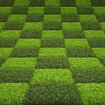 Environmentally Sustainable commercial Carpet Designs | Godfrey