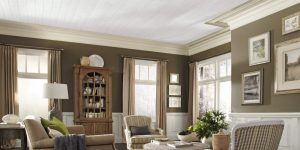 Living Room Ceiling Ideas | Ceilings | Armstrong Residential