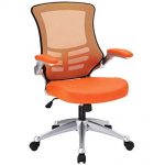 Amazon.com : Cool Office Chairs - Ridgewood Mesh Desk Chairs