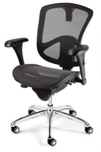 BEVCO Executive Ergonomic Mesh Office Chair | Wayfair