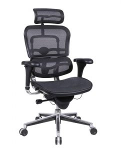 Eurotech Ergohuman ME7ERG Mesh Executive Chair with Headrest.