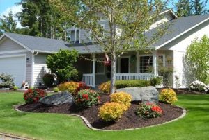 Front yard landscaping designs, DIY ideas, photo gallery and 3D