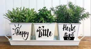 10 Important Tips to Create your own Indoor Herb Garden