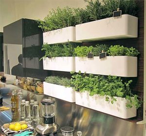 14 Brilliant DIY Indoor Herb Garden Ideas | The Garden Glove