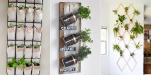 12 Amazing Ideas For Indoor Herb Gardens