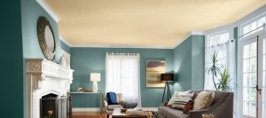 Paint and Paint Supplies for House Painting - The Home Depot