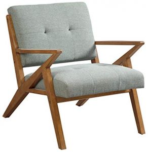 Amazon.com: INK+IVY IIF18-0058 Mid Century Modern Accent Chair