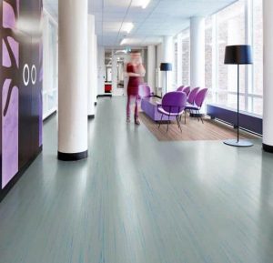 Marmoleum 'Striato' Sheet - Glue Down Flooring: Green Building