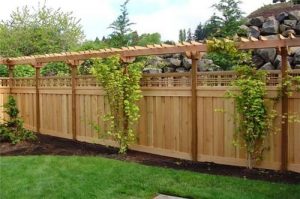 60 Gorgeous Fence Ideas and Designs | shells stuff | Backyard