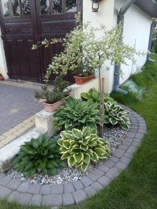 40+ Simple And Cheap Landscaping Ideas You Can Copy | Cheap