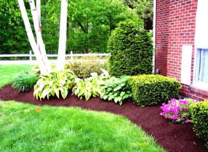 Do It Yourself Landscaping Simple Ideas : Acvap Homes - Simple