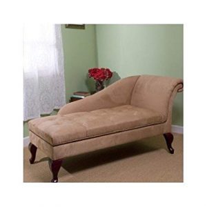 Amazon.com: Chaise Chair Lounge Sofa with Storage for Living Room or