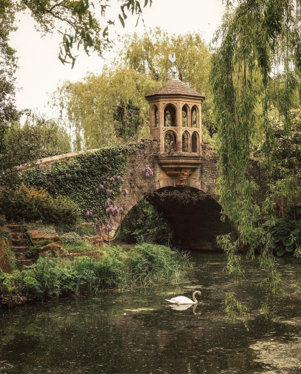 The Enchanting Charm of English Gardens