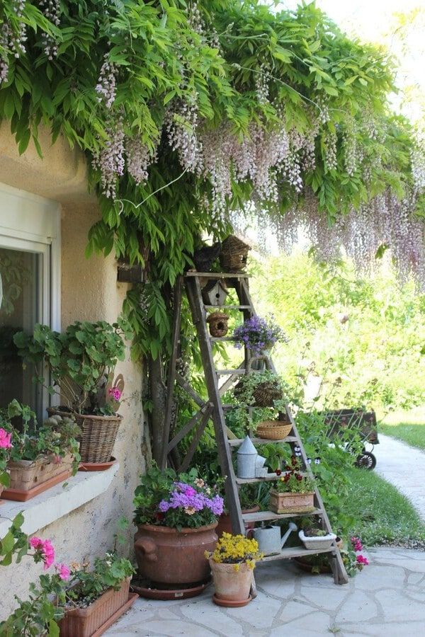 Creative Garden Design Tips