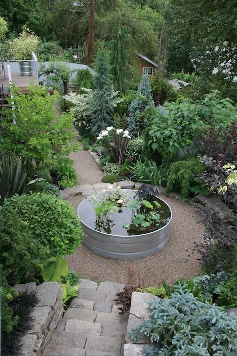 The Beauty and Serenity of Water Gardens