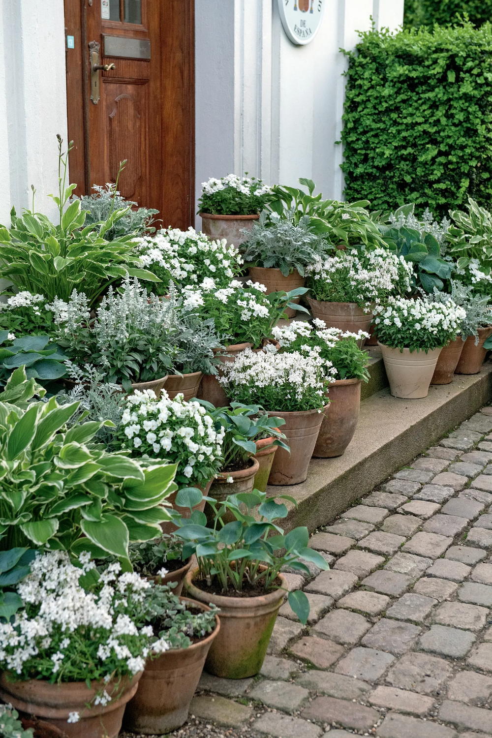 The Complete Guide to Container Gardening